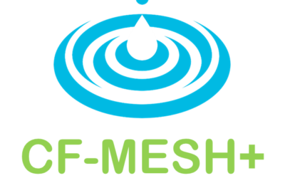 Solvers and mesh export formats for CF-MESH+